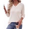 WIHOLL Long Sleeve Womens Shirts Lightweight Fall Tunic Top V Neck Sweaters(01-apricot)