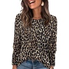 H-leopard
